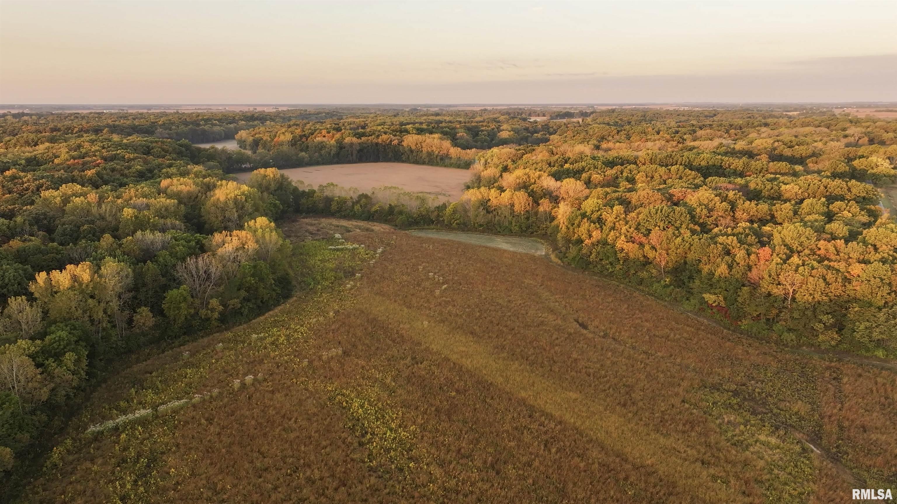 0 East 500 East Road Oconee, IL 62553 - Photo 17 of 75