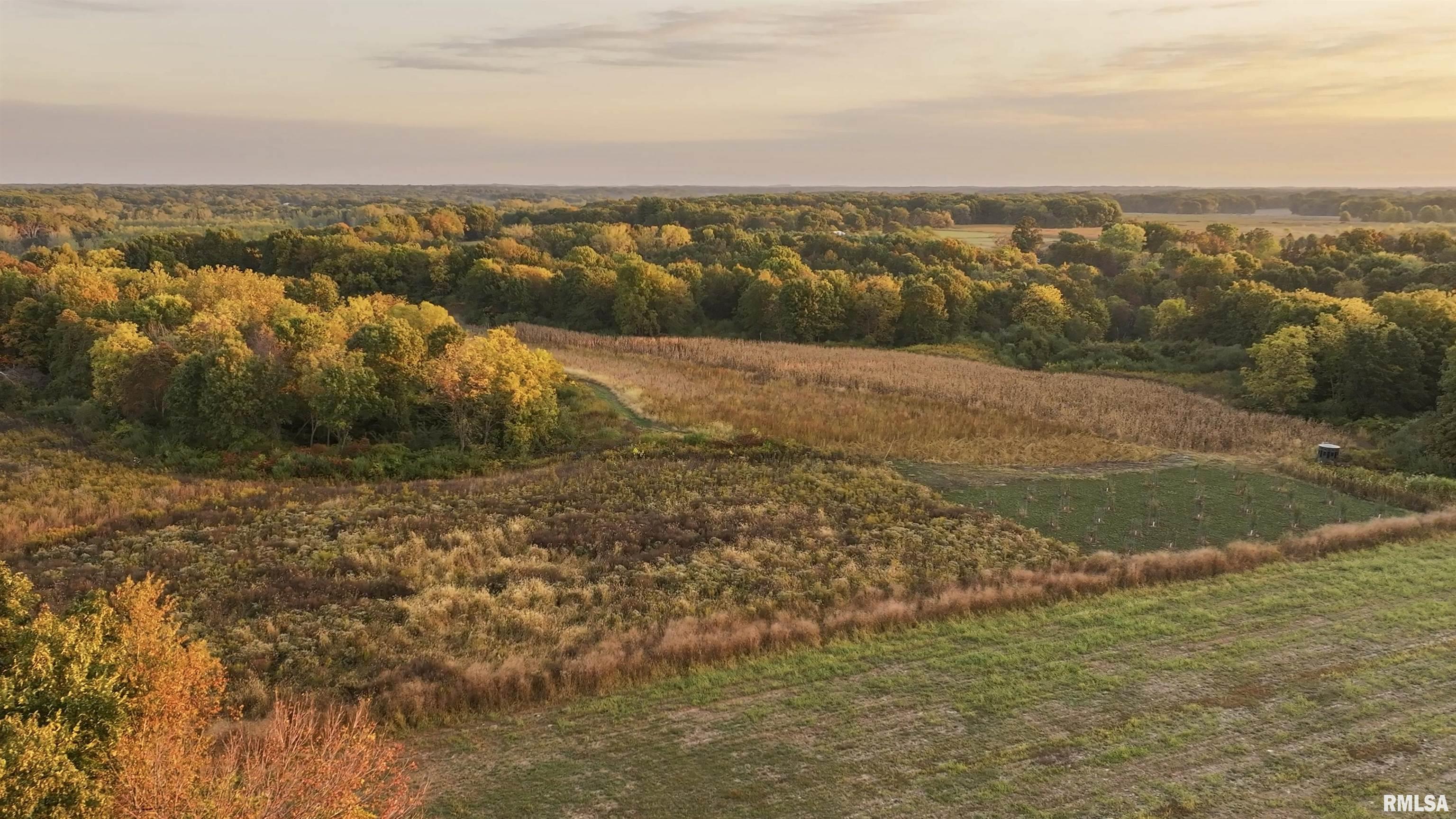 0 East 500 East Road Oconee, IL 62553 - Photo 19 of 75