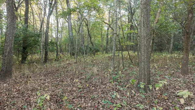 $695,000 | 0 East 500 East Road, Oconee, IL 62553