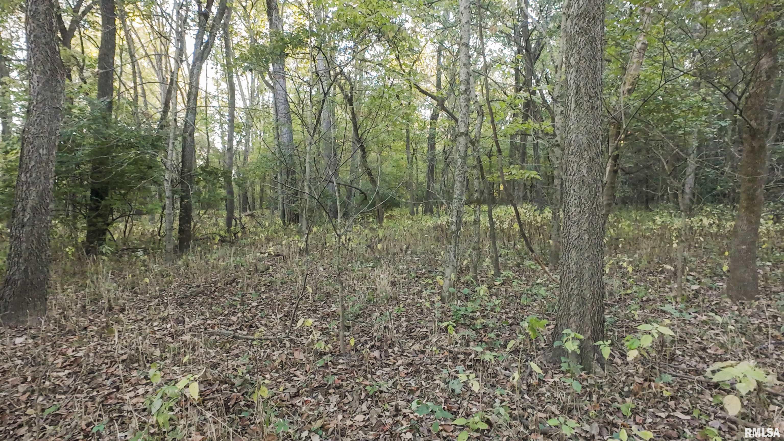 0 East 500 East Road Oconee, IL 62553 - Photo 20 of 75