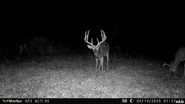 $695,000 | 0 East 500 East Road, Oconee, IL 62553