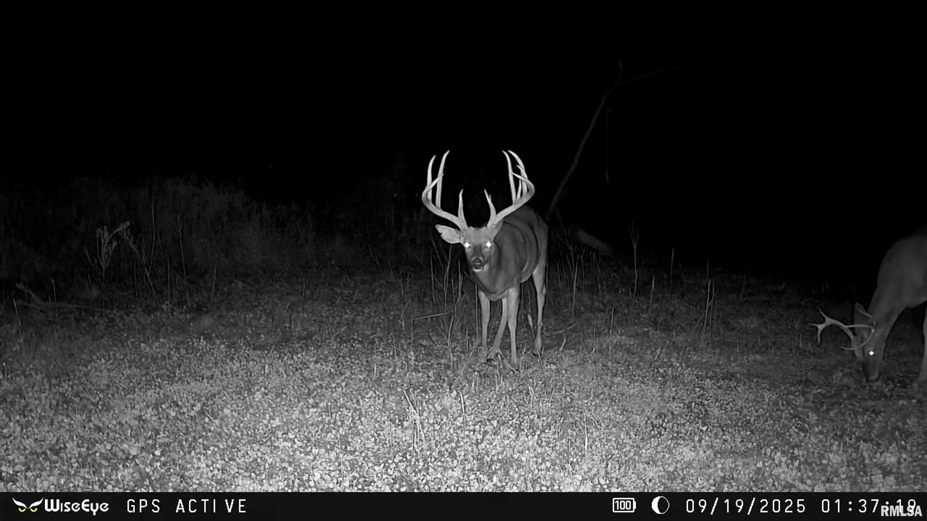 0 East 500 East Road Oconee, IL 62553 - Photo 2 of 75