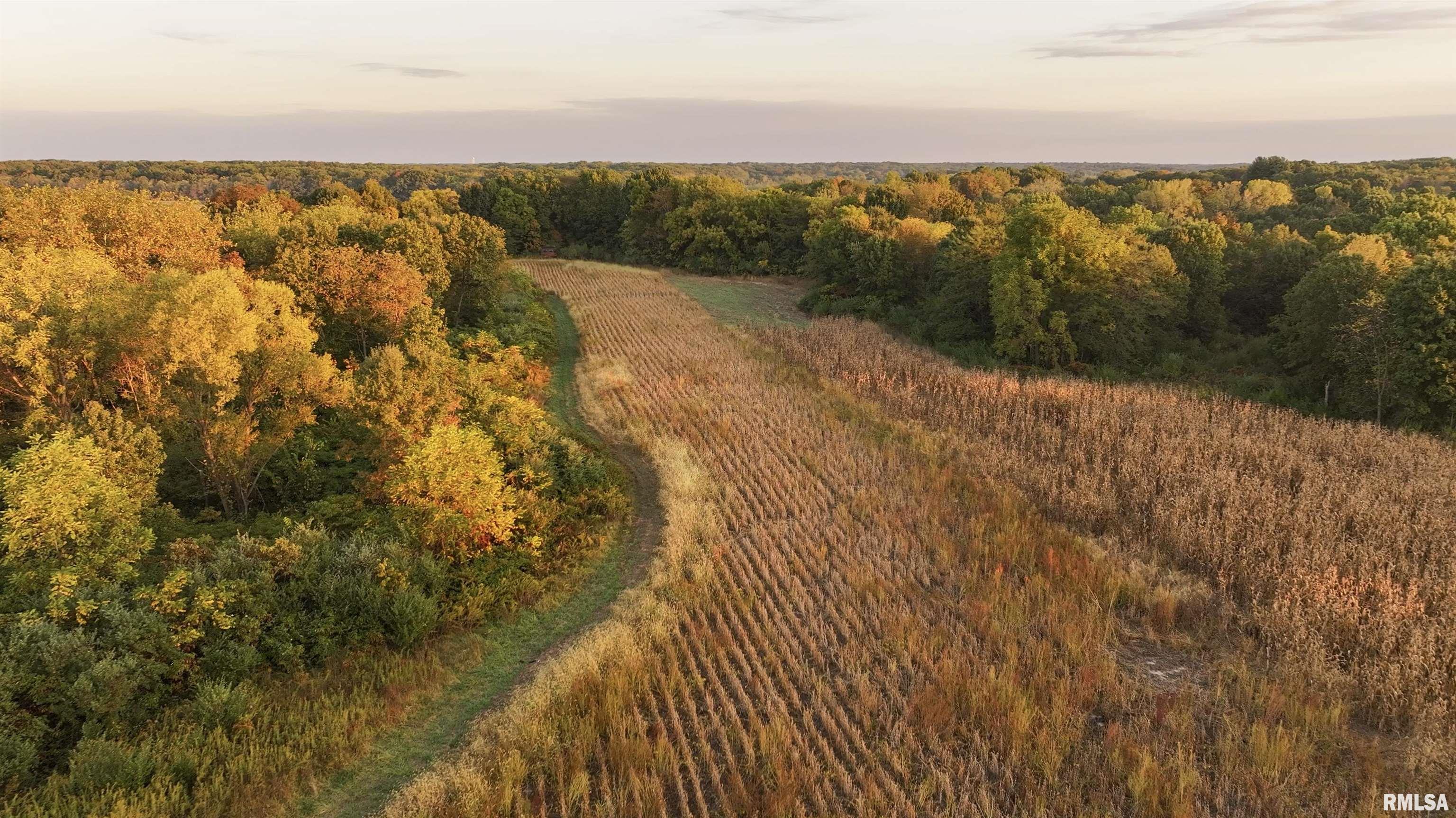 0 East 500 East Road Oconee, IL 62553 - Photo 21 of 75