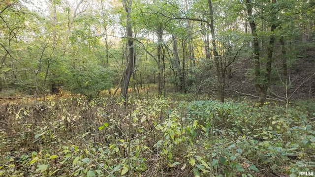 $695,000 | 0 East 500 East Road, Oconee, IL 62553