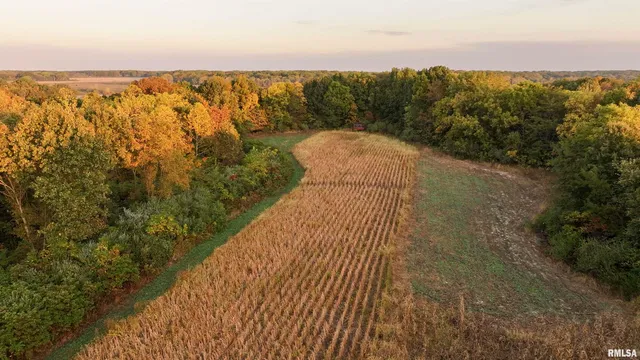 $695,000 | 0 East 500 East Road, Oconee, IL 62553