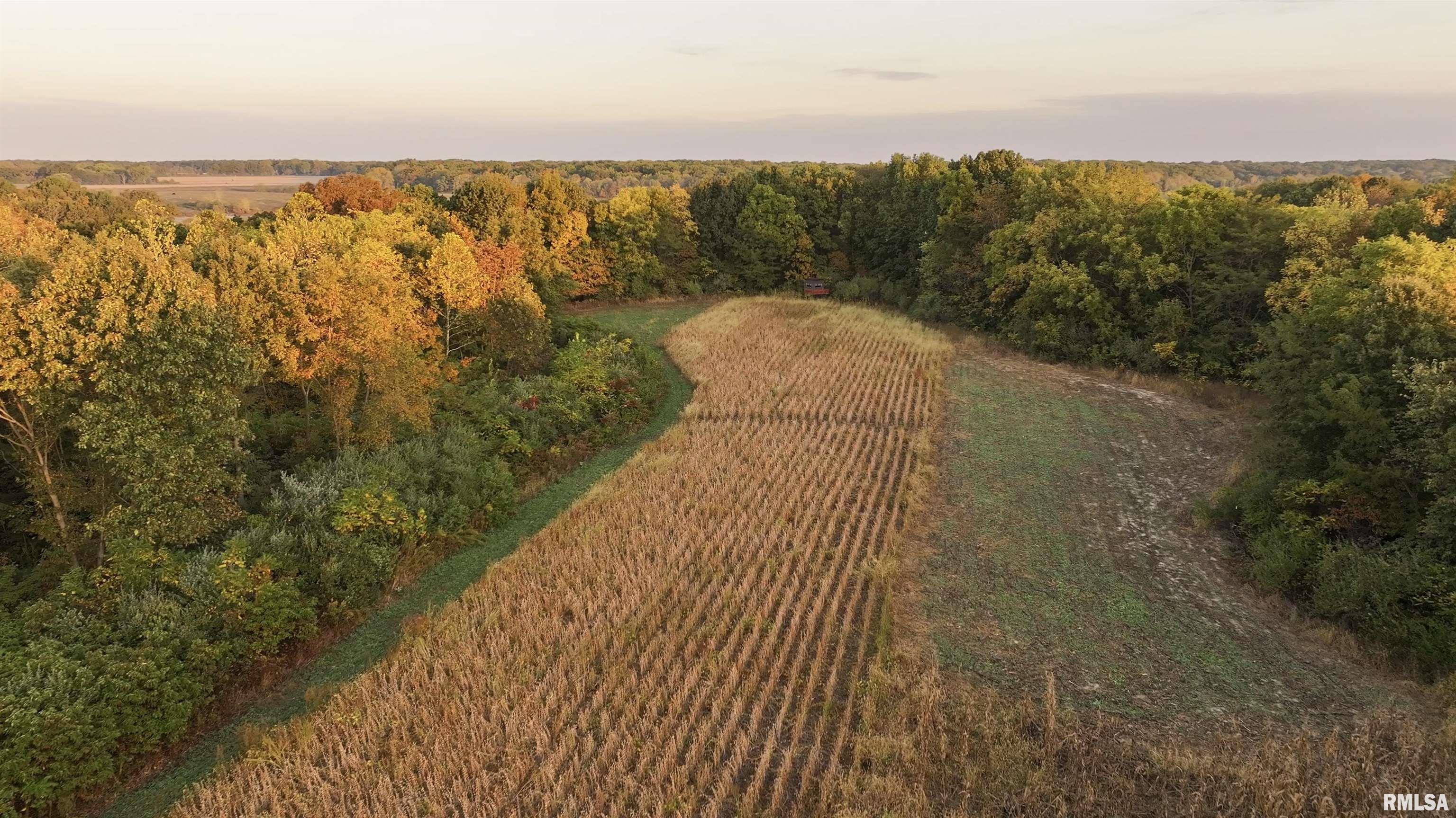 0 East 500 East Road Oconee, IL 62553 - Photo 23 of 75