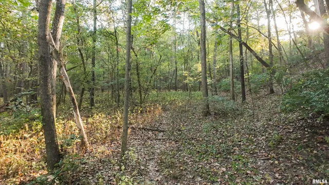 $695,000 | 0 East 500 East Road, Oconee, IL 62553