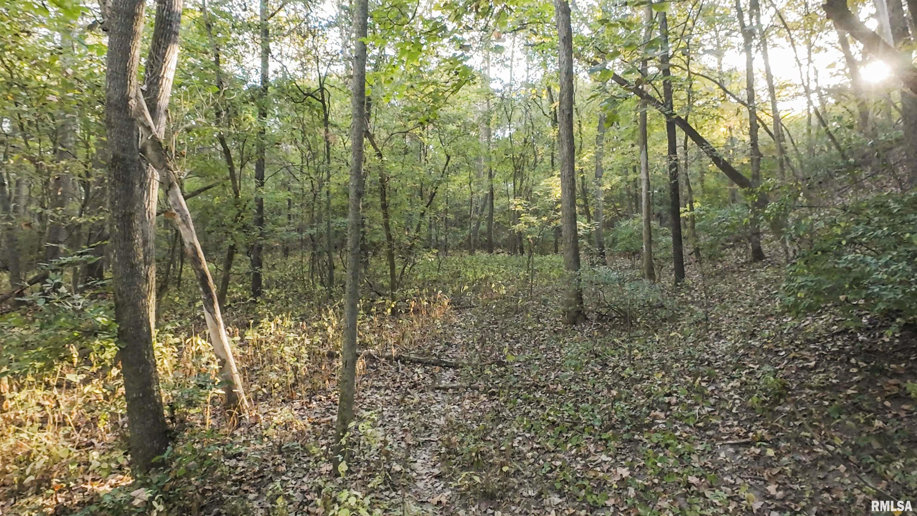 0 East 500 East Road Oconee, IL 62553 - Photo 24 of 75