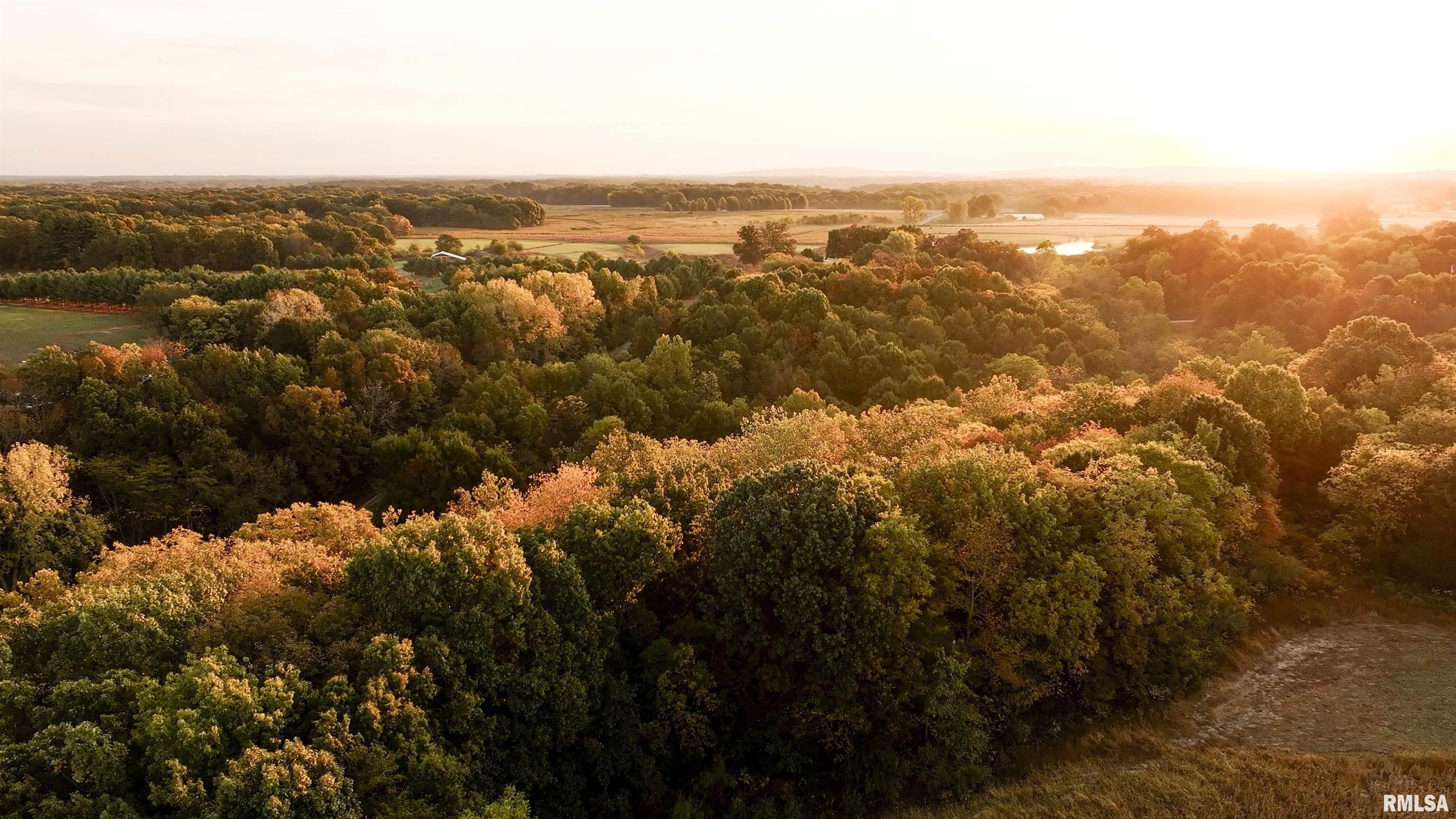 0 East 500 East Road Oconee, IL 62553 - Photo 25 of 75
