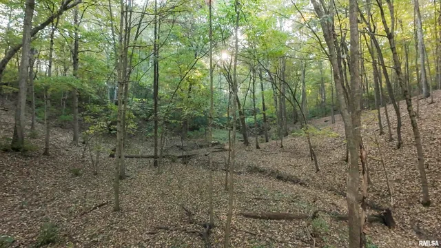 $695,000 | 0 East 500 East Road, Oconee, IL 62553