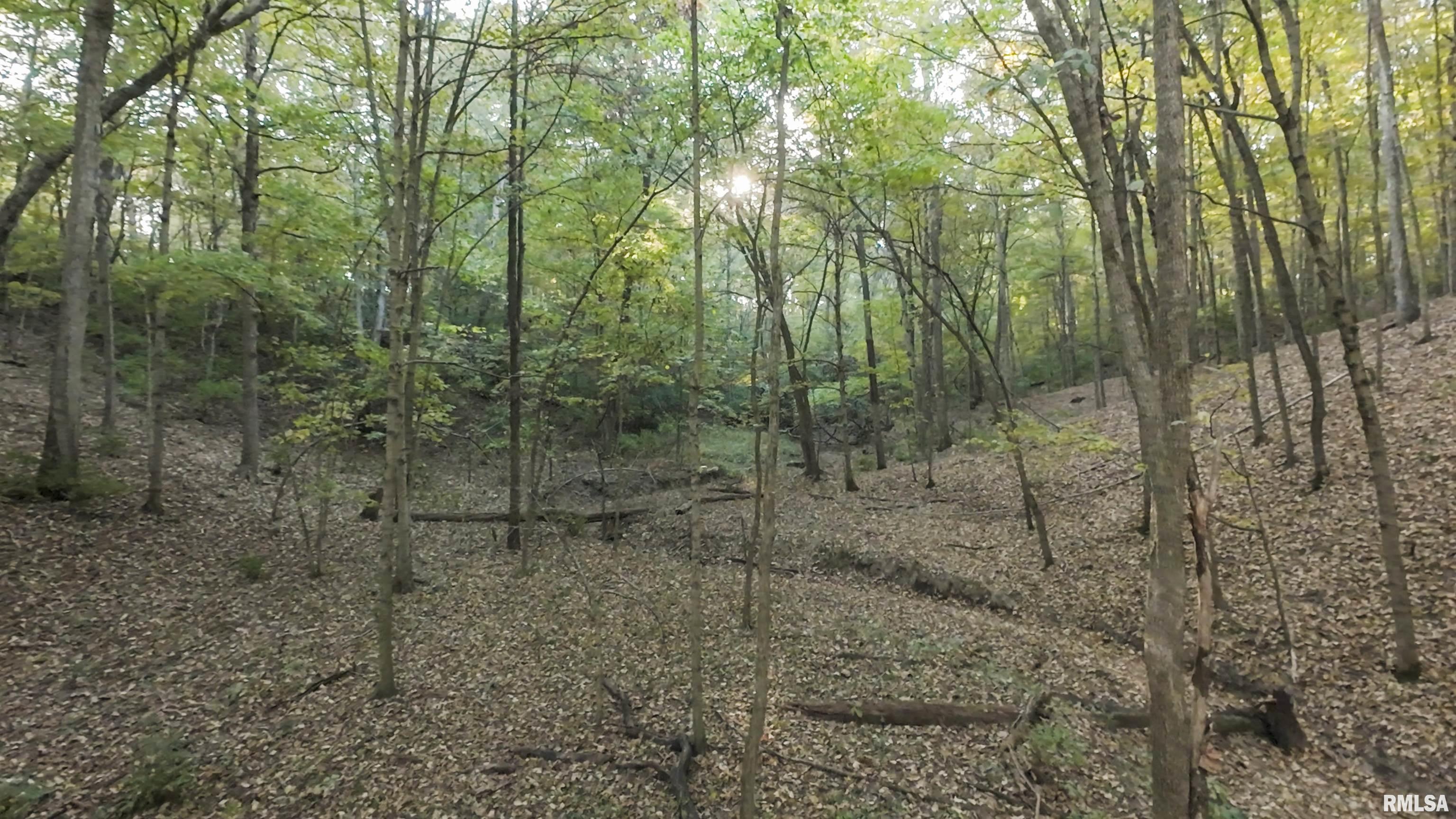 0 East 500 East Road Oconee, IL 62553 - Photo 28 of 75