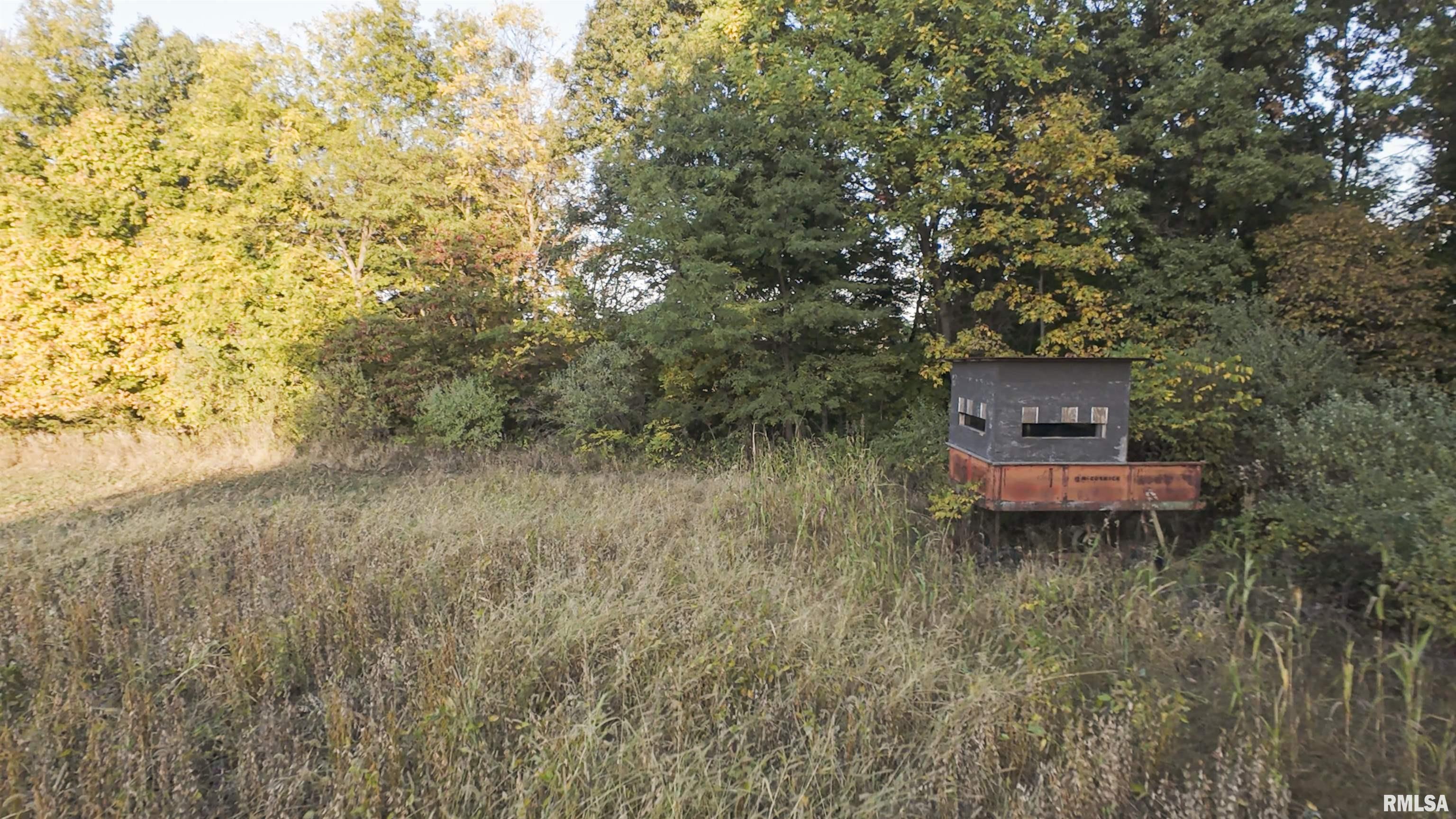 0 East 500 East Road Oconee, IL 62553 - Photo 30 of 75