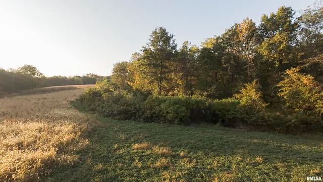 $695,000 | 0 East 500 East Road, Oconee, IL 62553