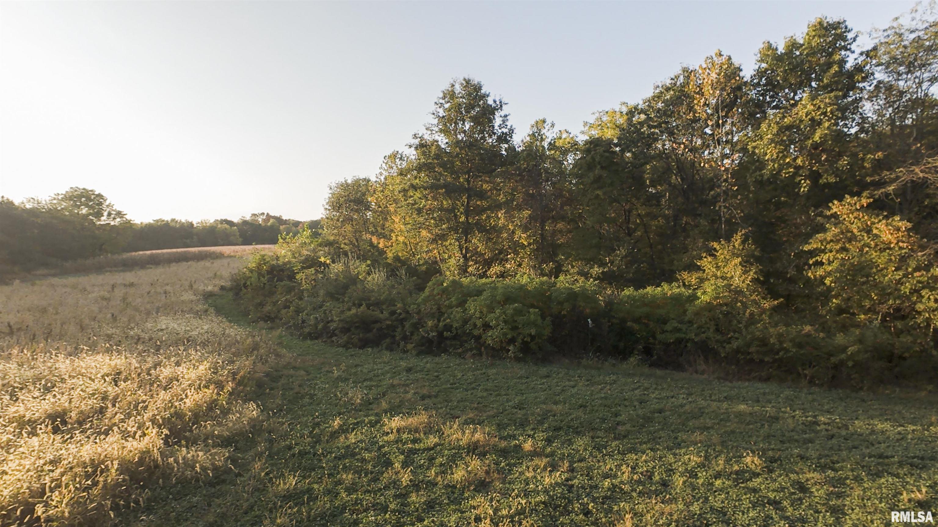 0 East 500 East Road Oconee, IL 62553 - Photo 32 of 75