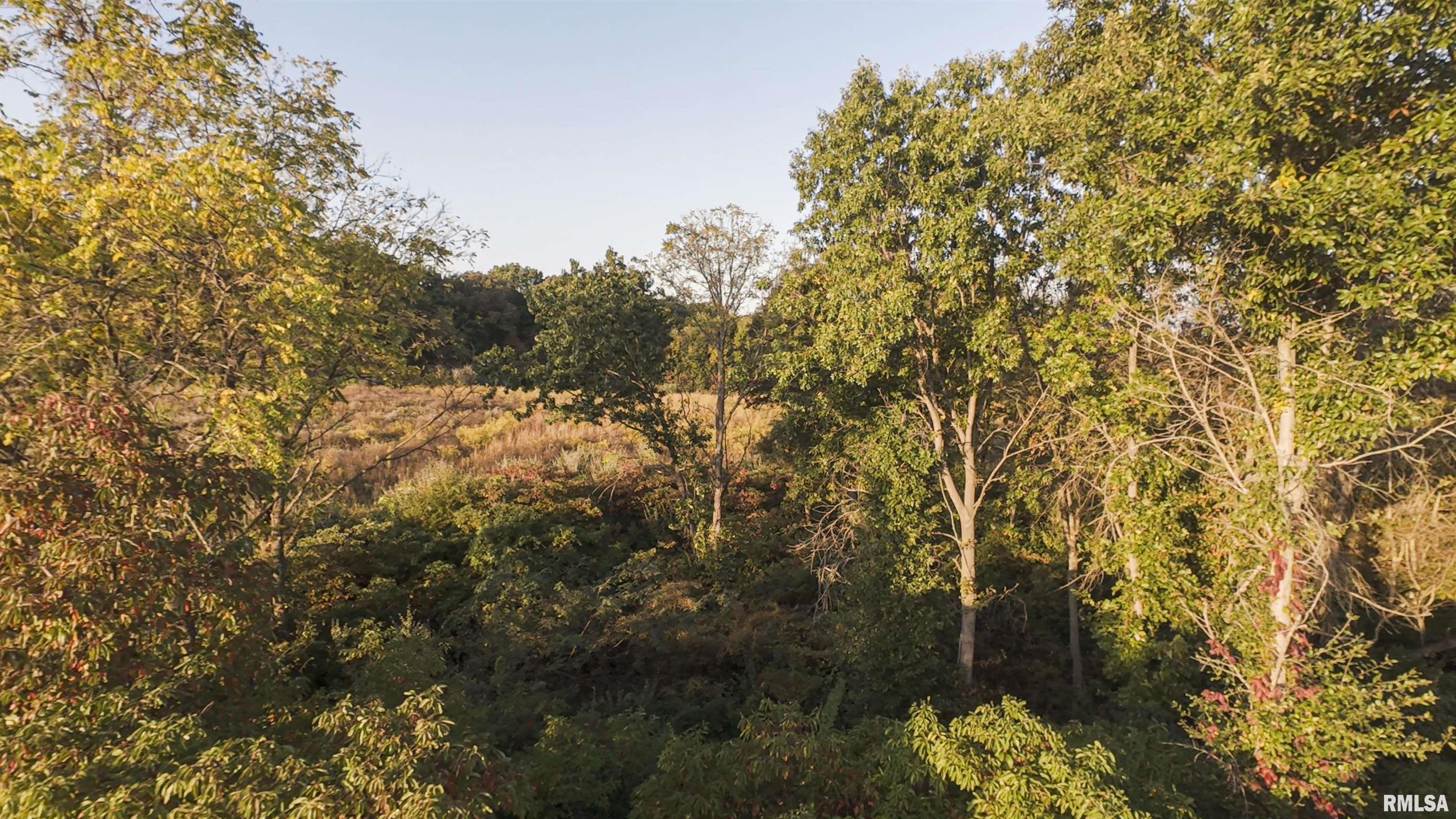 0 East 500 East Road Oconee, IL 62553 - Photo 34 of 75