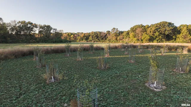 $695,000 | 0 East 500 East Road, Oconee, IL 62553