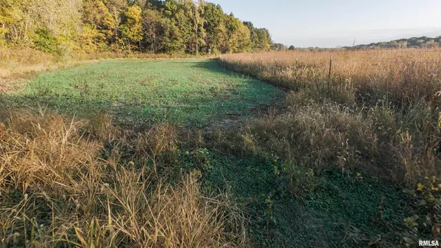 $695,000 | 0 East 500 East Road, Oconee, IL 62553