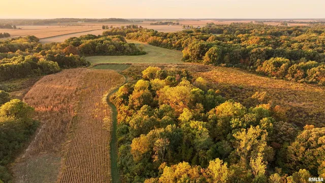 $695,000 | 0 East 500 East Road, Oconee, IL 62553