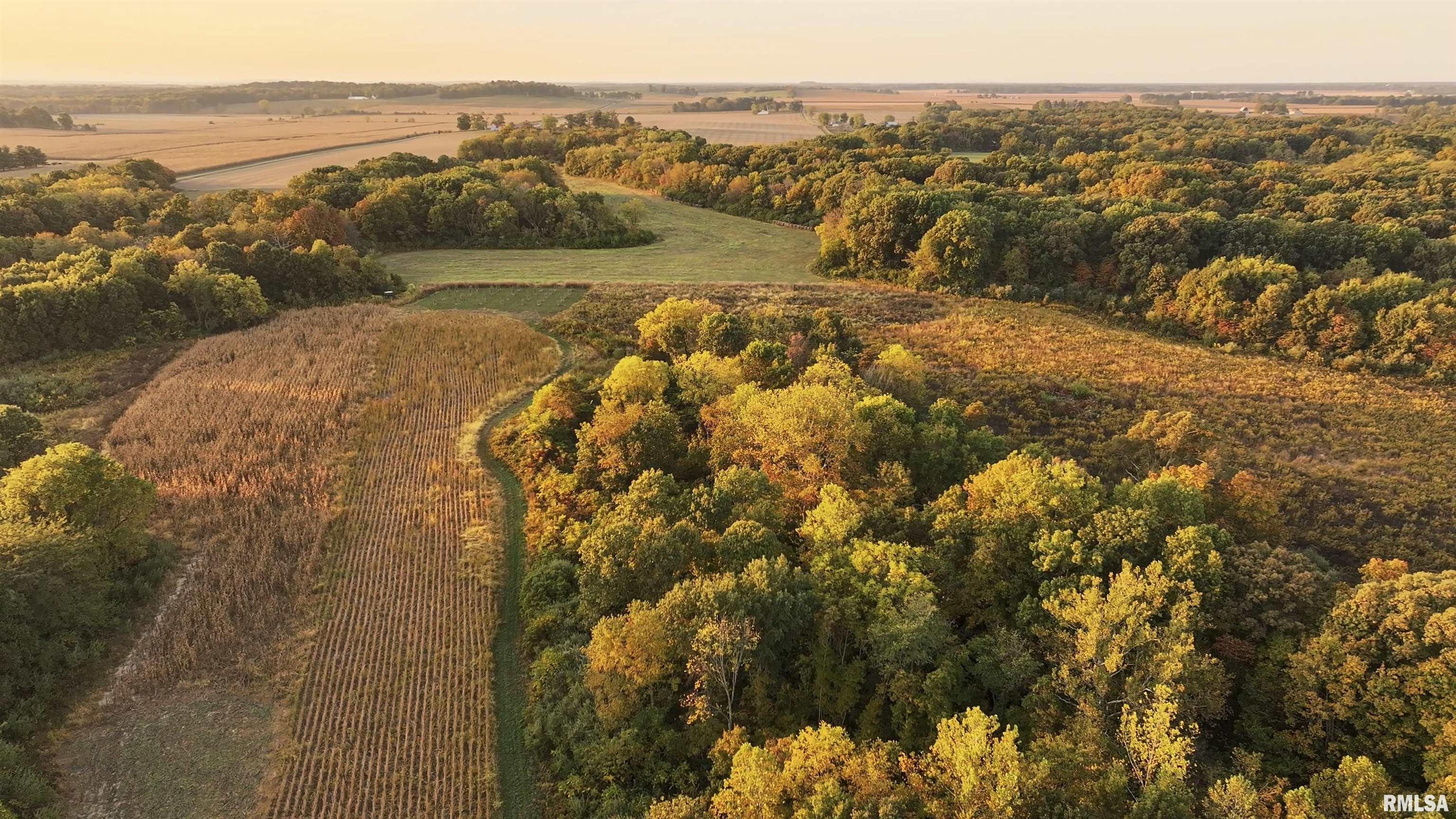 0 East 500 East Road Oconee, IL 62553 - Photo 38 of 75