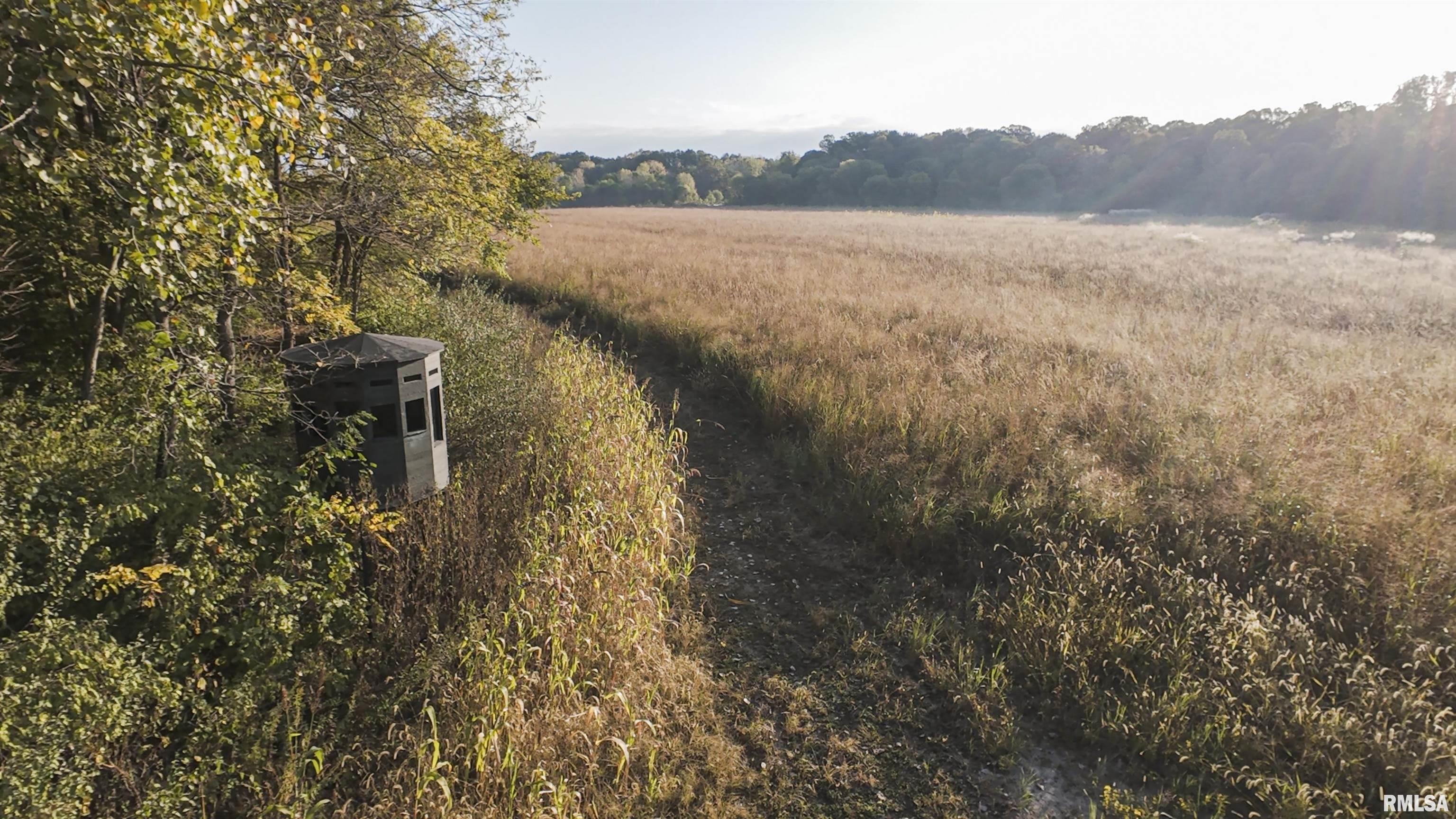 0 East 500 East Road Oconee, IL 62553 - Photo 39 of 75
