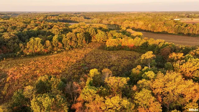 $695,000 | 0 East 500 East Road, Oconee, IL 62553