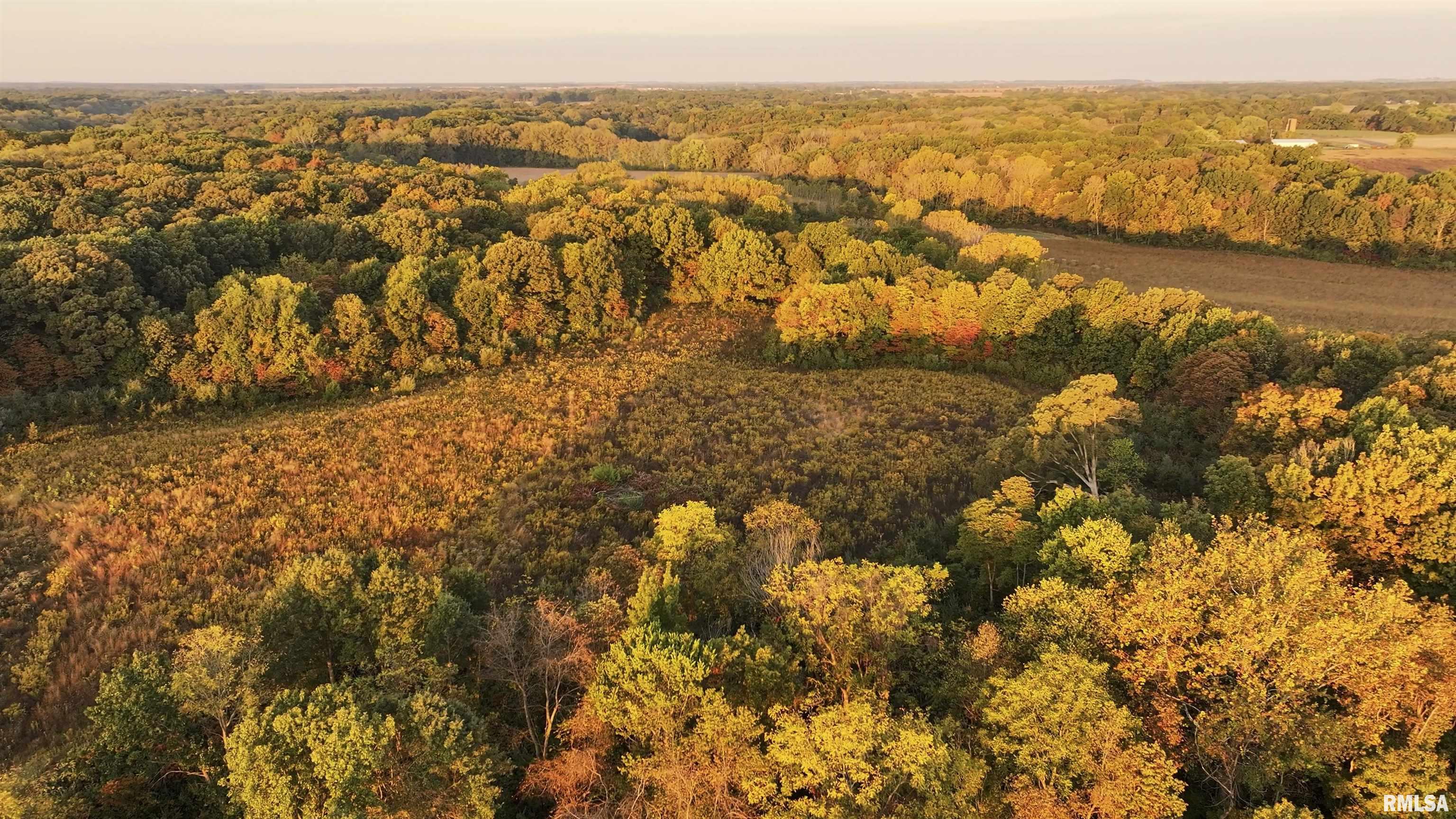 0 East 500 East Road Oconee, IL 62553 - Photo 41 of 75