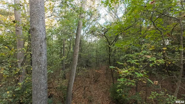 $695,000 | 0 East 500 East Road, Oconee, IL 62553