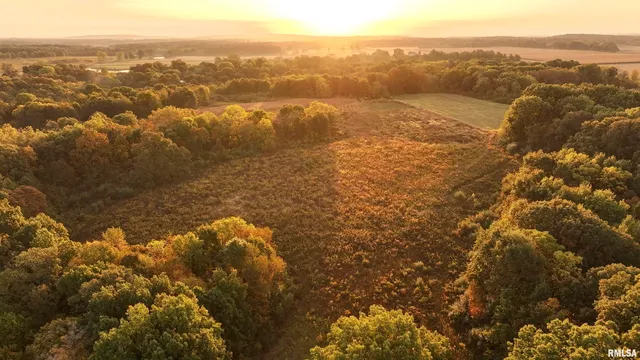 $695,000 | 0 East 500 East Road, Oconee, IL 62553