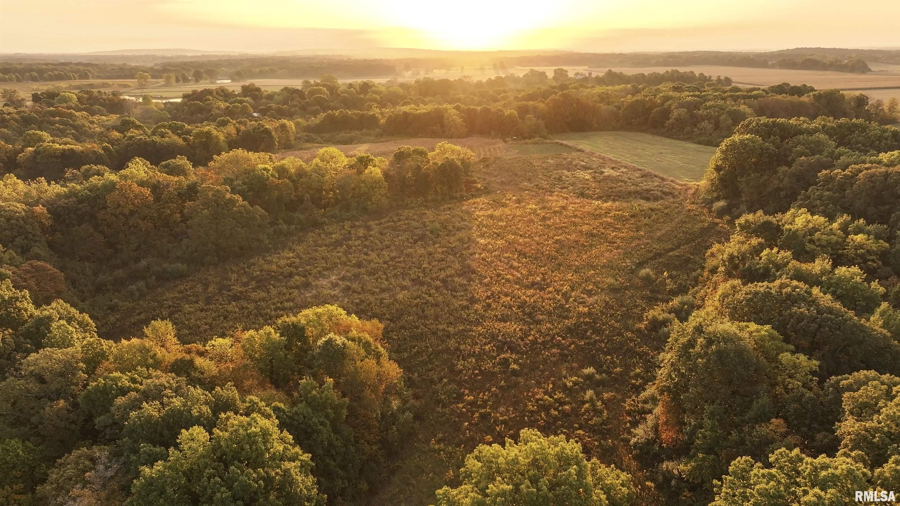 0 East 500 East Road Oconee, IL 62553 - Photo 45 of 75