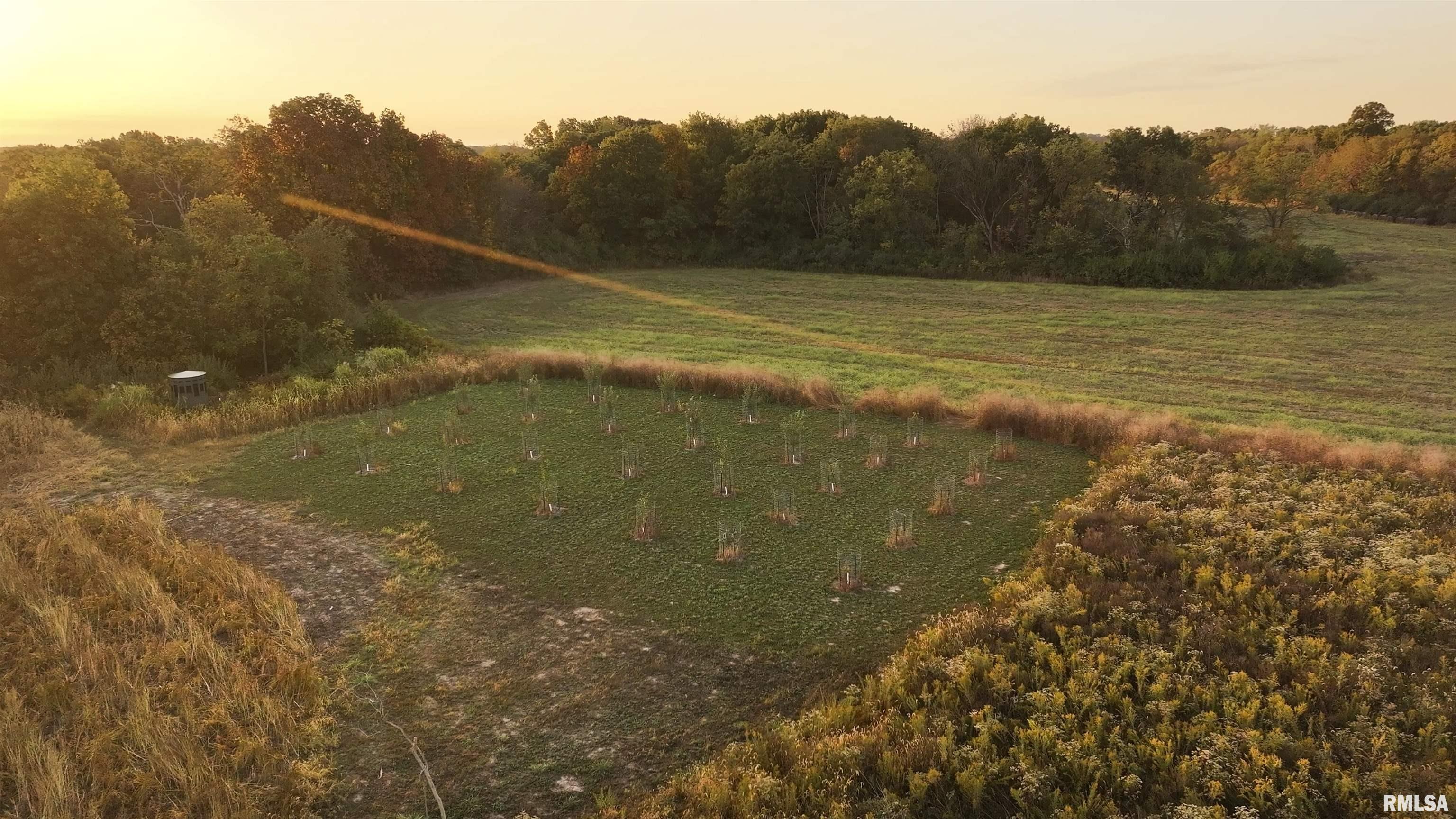 0 East 500 East Road Oconee, IL 62553 - Photo 46 of 75