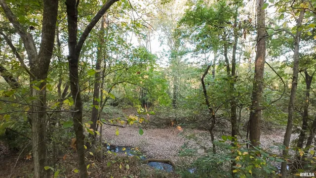 $695,000 | 0 East 500 East Road, Oconee, IL 62553