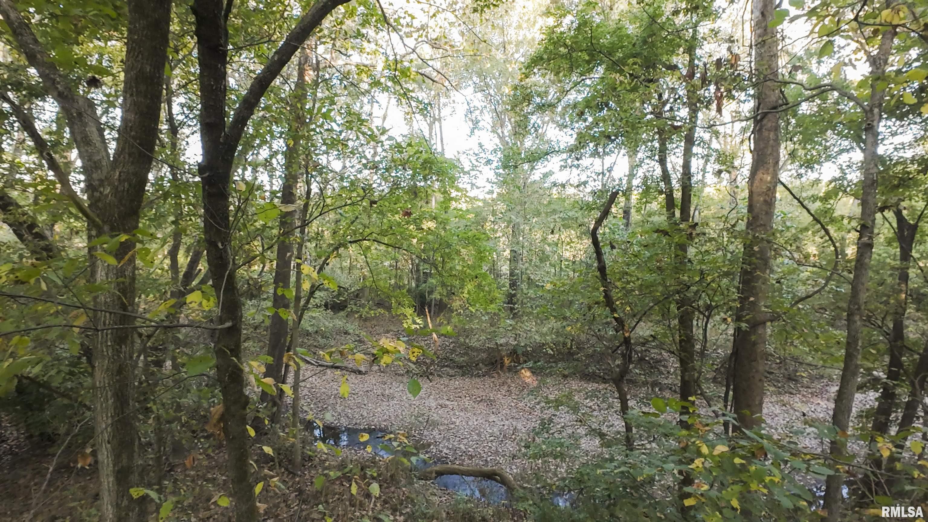 0 East 500 East Road Oconee, IL 62553 - Photo 47 of 75