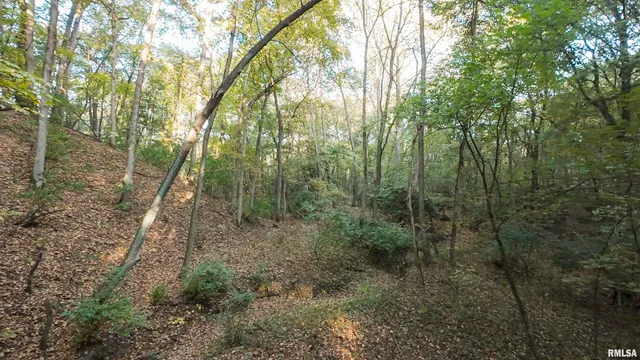 $695,000 | 0 East 500 East Road, Oconee, IL 62553