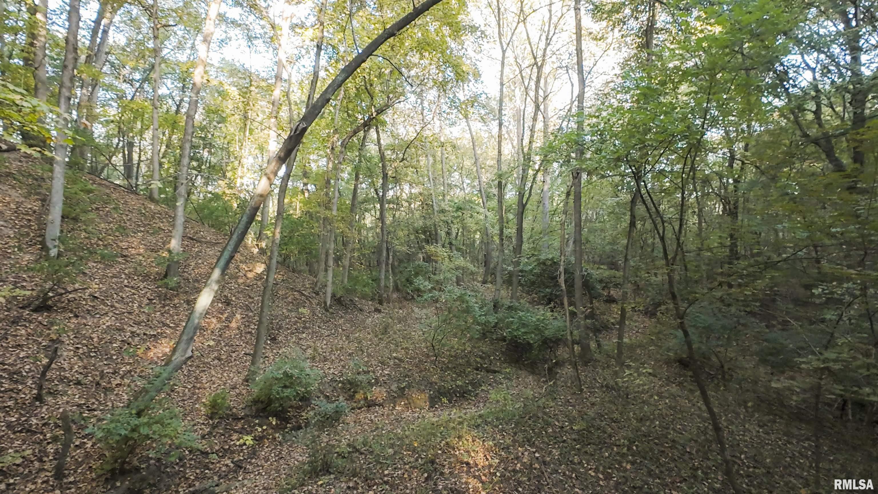 0 East 500 East Road Oconee, IL 62553 - Photo 48 of 75