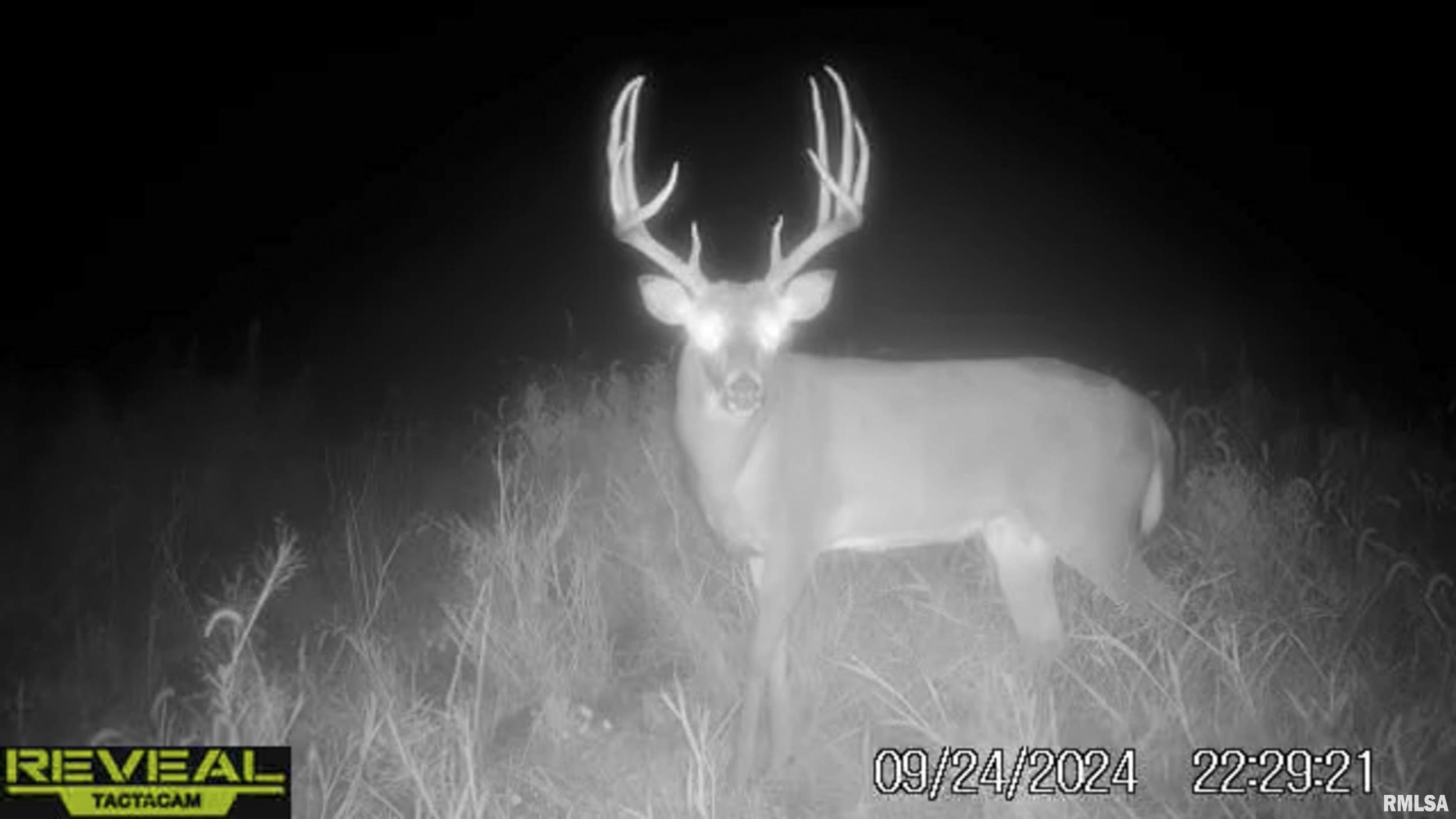 0 East 500 East Road Oconee, IL 62553 - Photo 51 of 75