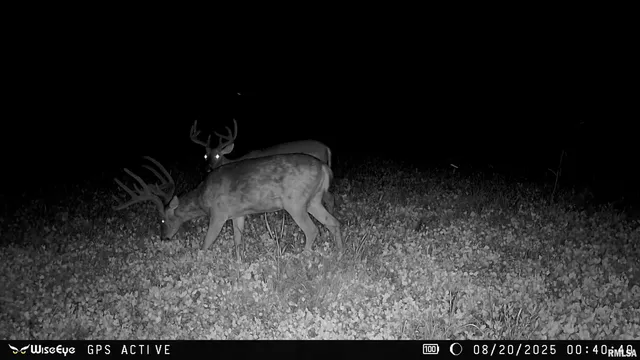 $695,000 | 0 East 500 East Road, Oconee, IL 62553