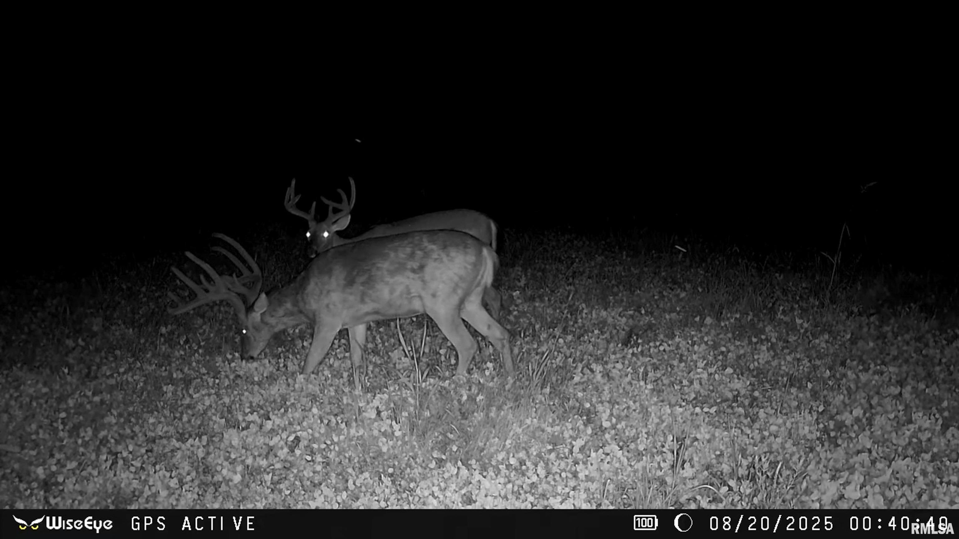 0 East 500 East Road Oconee, IL 62553 - Photo 52 of 75