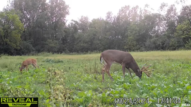 $695,000 | 0 East 500 East Road, Oconee, IL 62553