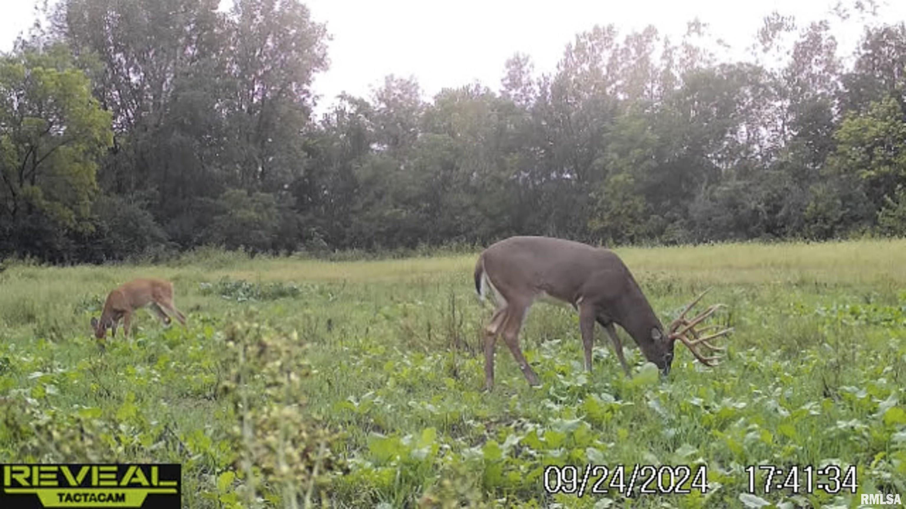 0 East 500 East Road Oconee, IL 62553 - Photo 53 of 75