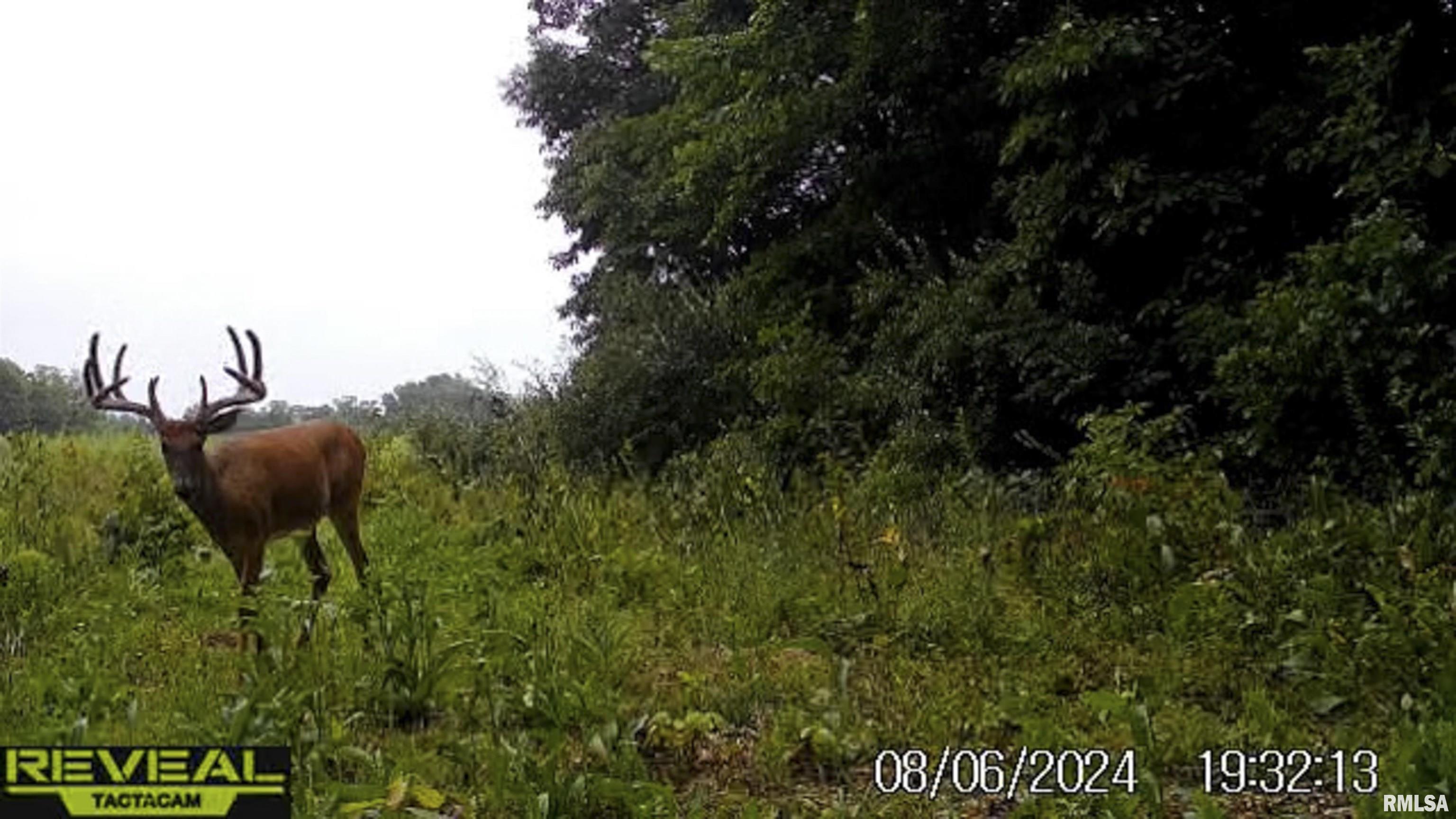 0 East 500 East Road Oconee, IL 62553 - Photo 54 of 75