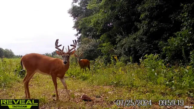 $695,000 | 0 East 500 East Road, Oconee, IL 62553