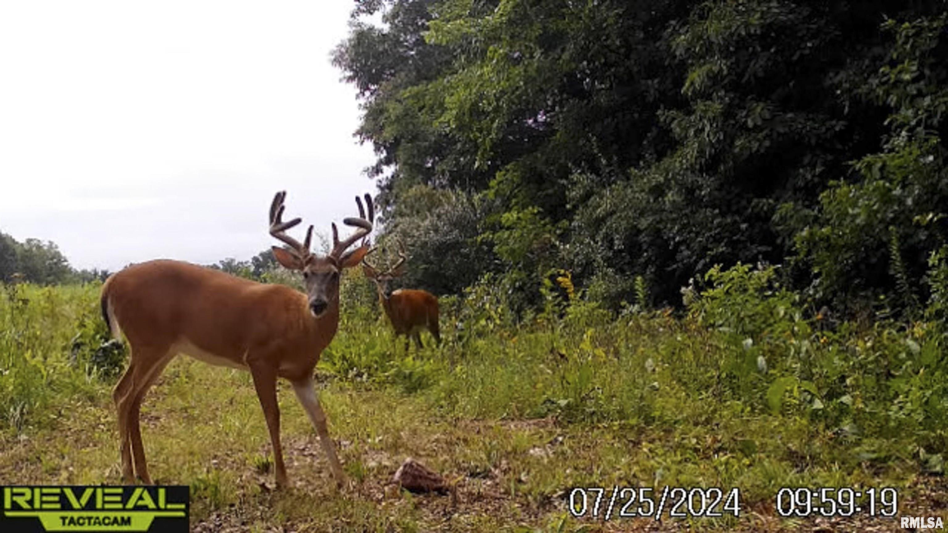 0 East 500 East Road Oconee, IL 62553 - Photo 55 of 75