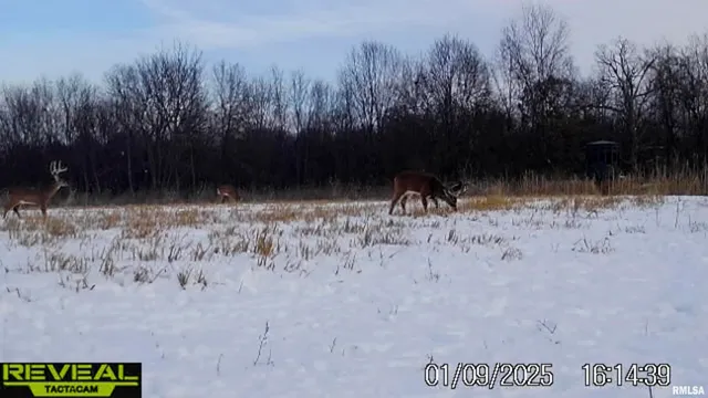 $695,000 | 0 East 500 East Road, Oconee, IL 62553