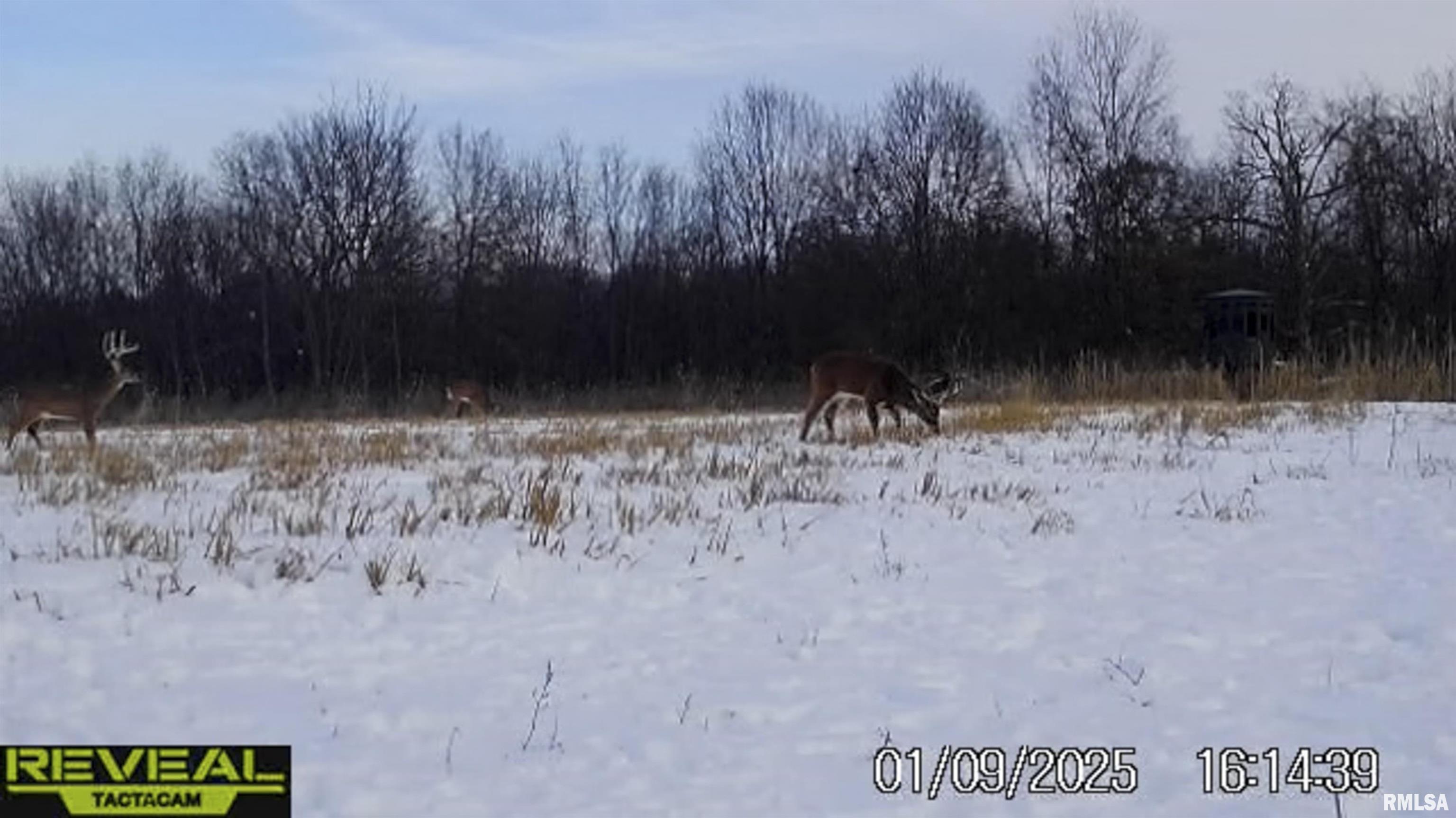 0 East 500 East Road Oconee, IL 62553 - Photo 56 of 75