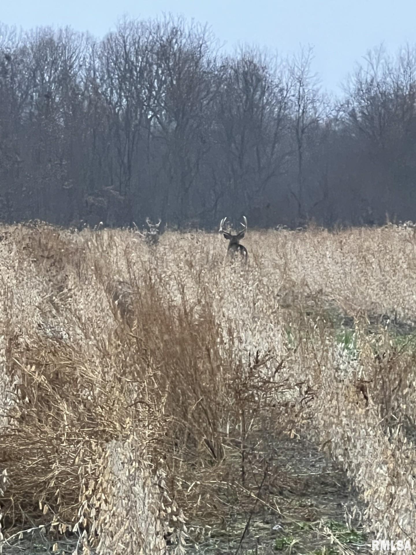 0 East 500 East Road Oconee, IL 62553 - Photo 57 of 75