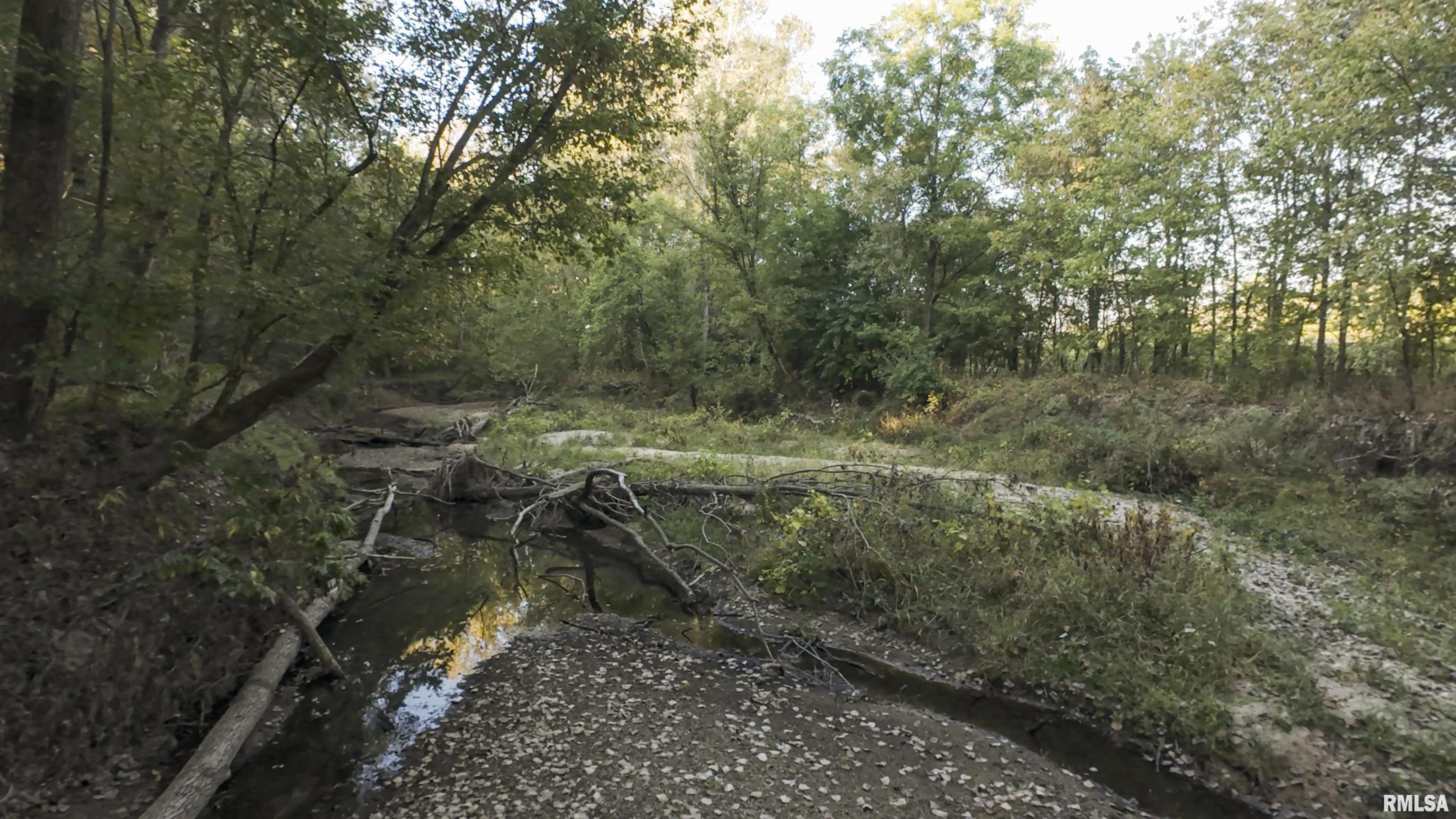0 East 500 East Road Oconee, IL 62553 - Photo 58 of 75