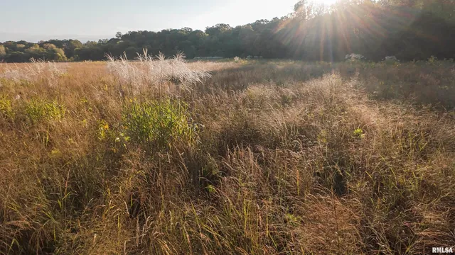 $695,000 | 0 East 500 East Road, Oconee, IL 62553