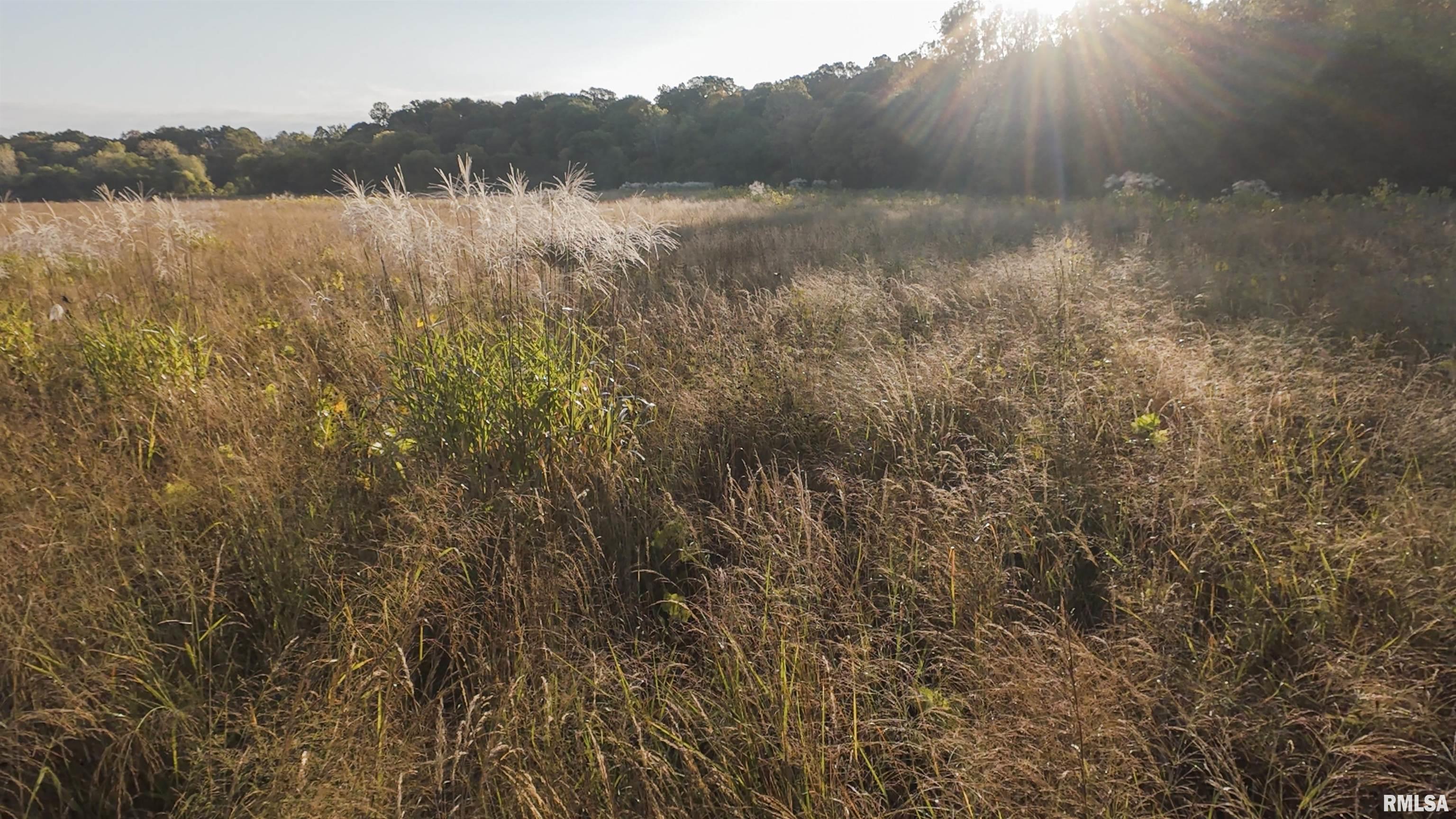 0 East 500 East Road Oconee, IL 62553 - Photo 59 of 75