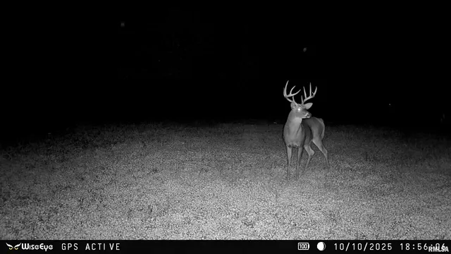 $695,000 | 0 East 500 East Road, Oconee, IL 62553