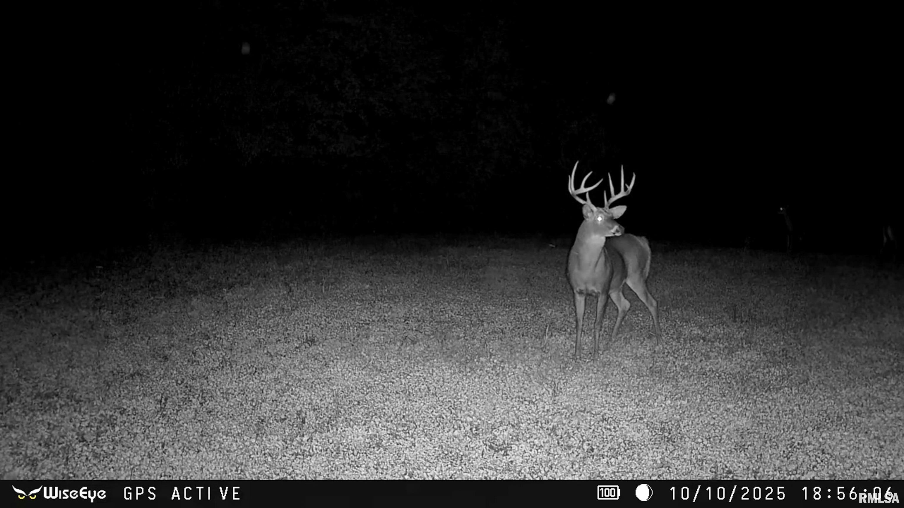 0 East 500 East Road Oconee, IL 62553 - Photo 61 of 75